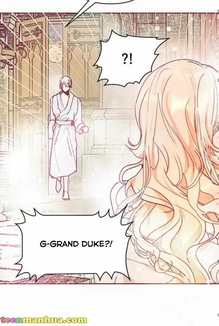 Grand Duke, It Was a Mistake! Chapter 17 47